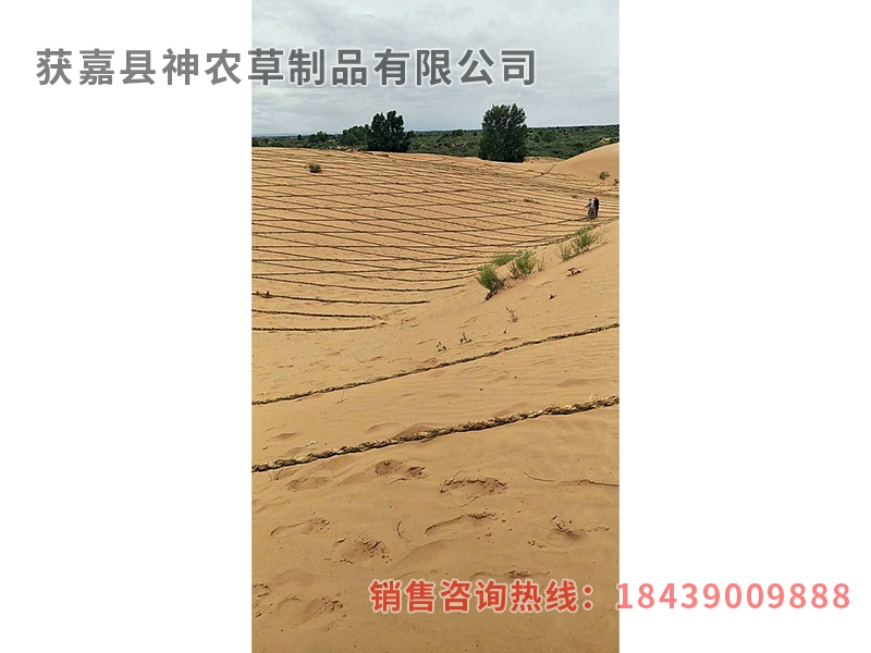 風沙專用草制品