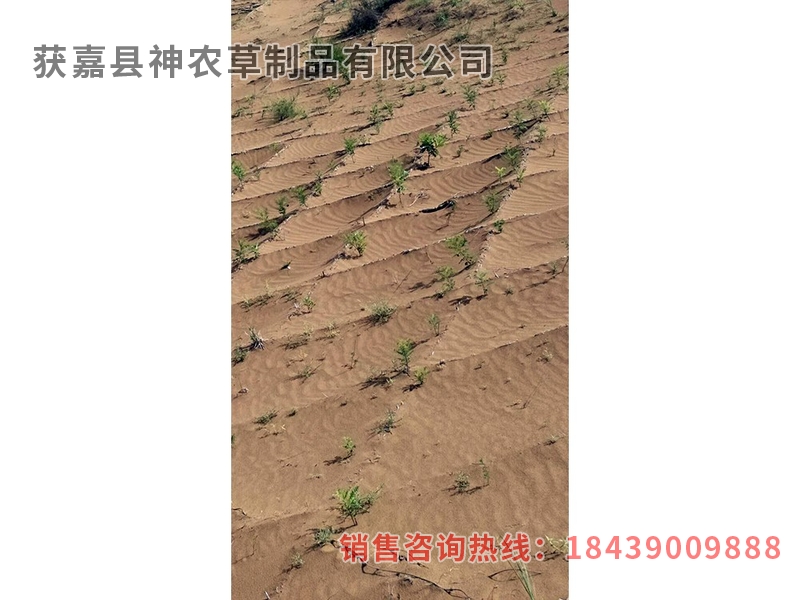 風沙專用草制品