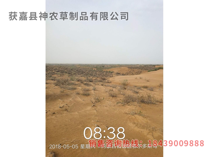 風沙專用草制品