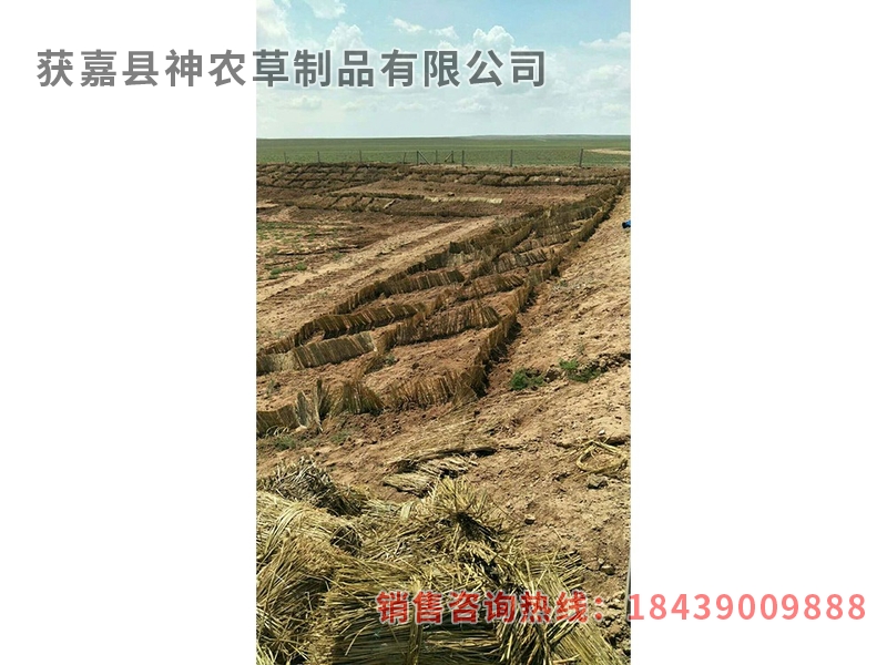 風沙專用草制品