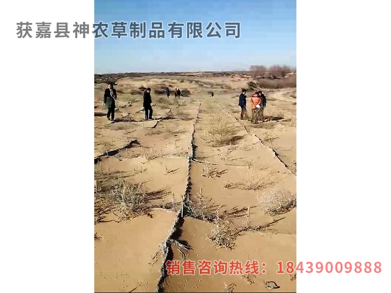 風沙專用草制品