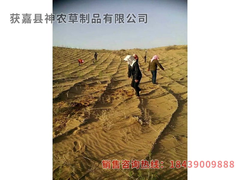 風沙專用草制品