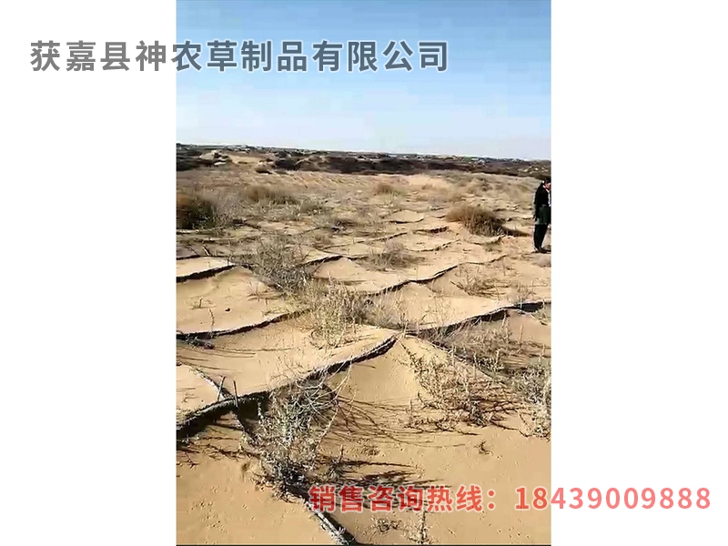 風沙專用草制品
