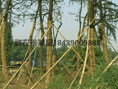 客戶現(xiàn)場(chǎng)