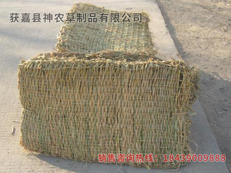 防滑墊