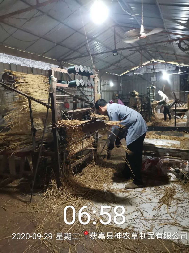 神農(nóng)草制品--草袋加工生產(chǎn)中