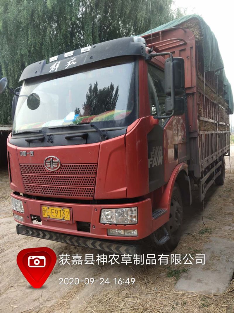U型草支墊發(fā)貨現(xiàn)場(chǎng)