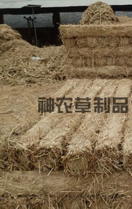給樹(shù)干綁草繩有什么影響？