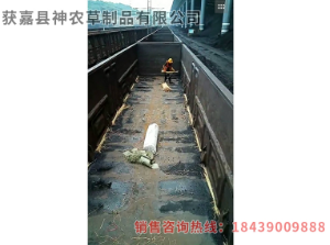 草簾廠家